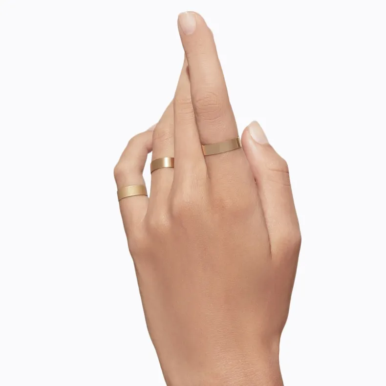 Shihara Plate Ring 5.0