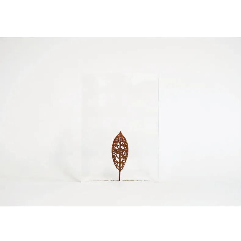 #60 - Fallen Leaves #4 (All Around You, 2024) by Mitsuru Koga