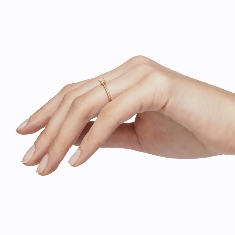 Shihara Classic Ring 04