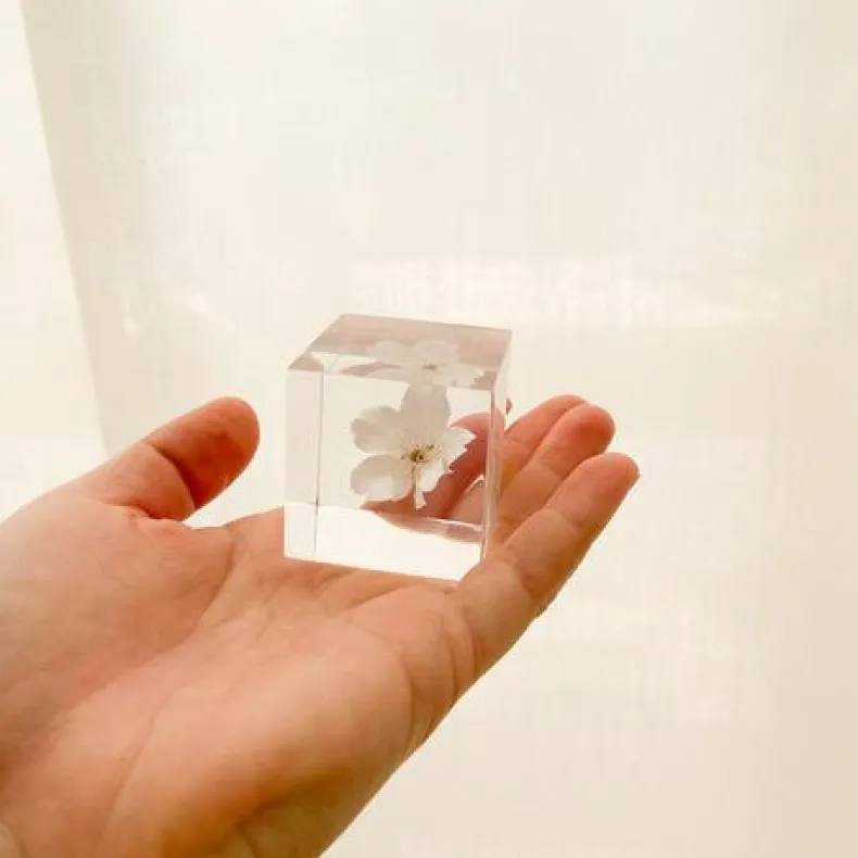 Sola Cubes - Seeds & Plants