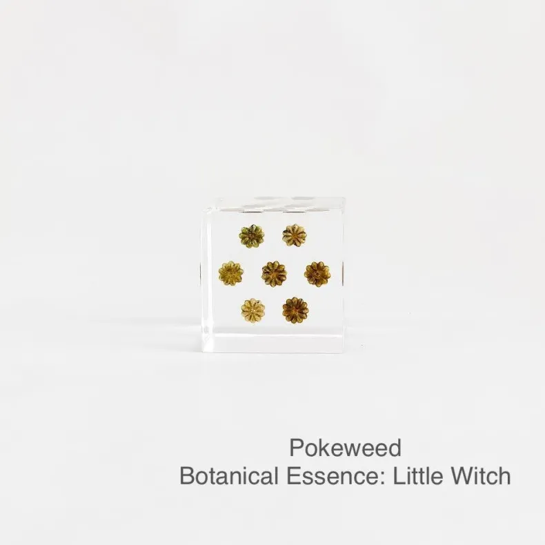 Sola Cubes - Seeds & Plants