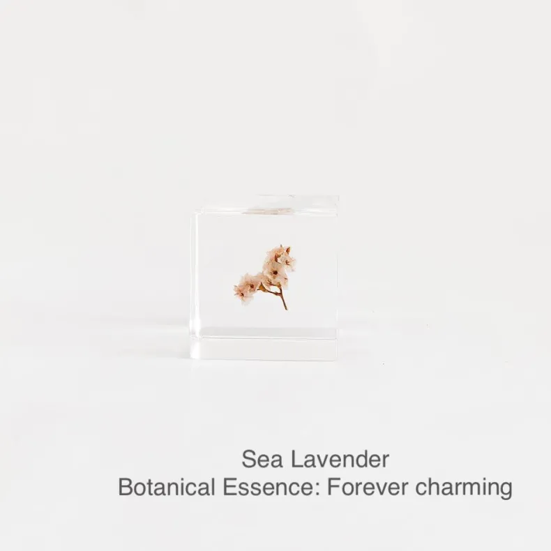 Sola Cubes - Seeds & Plants