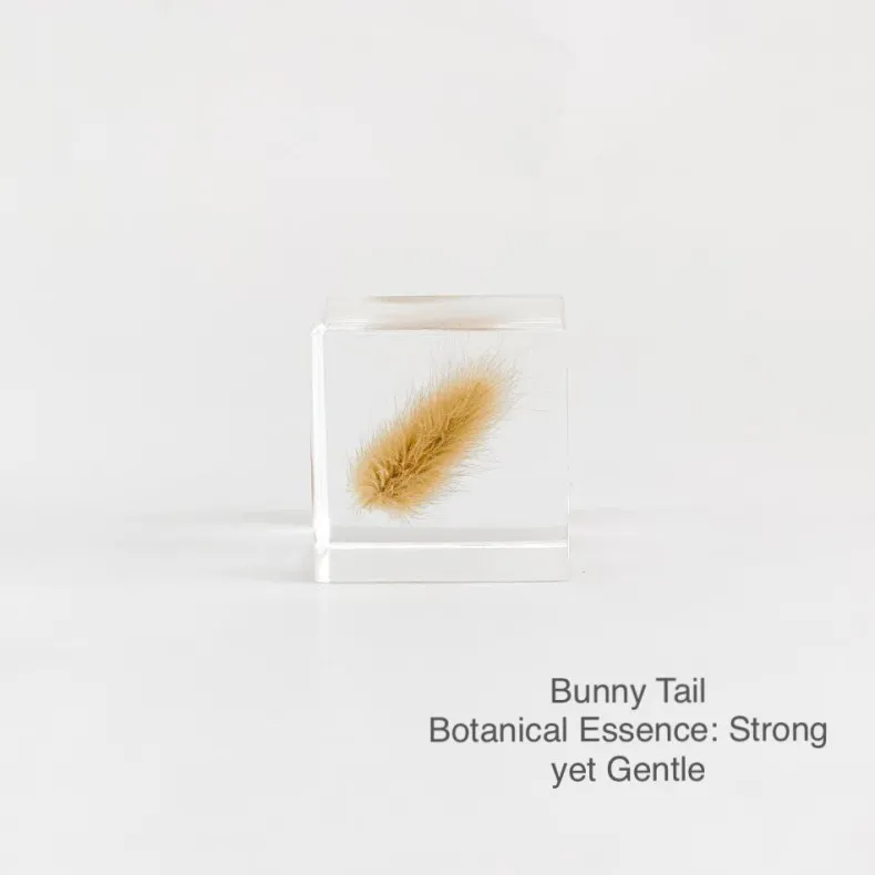 Sola Cubes - Seeds & Plants