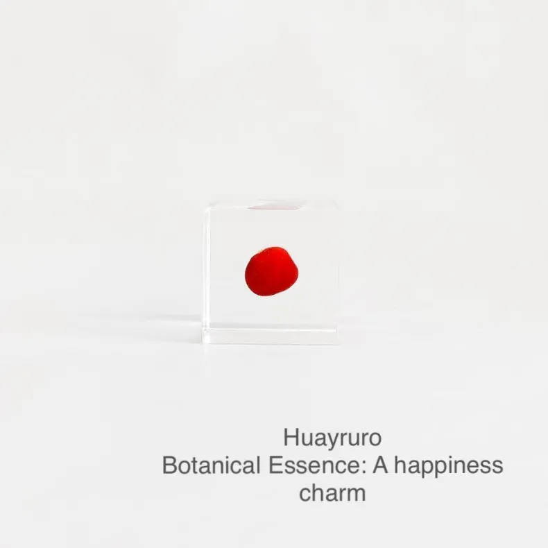 Sola Cubes - Seeds & Plants