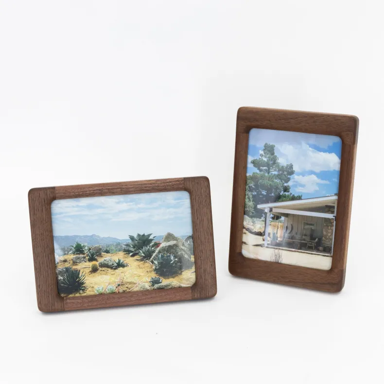 Snow Goose Wooden Picture Frame