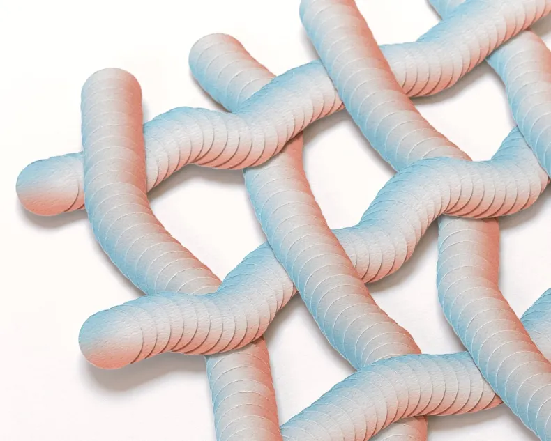 No.21 by Haneno Suzuki (Haneno Suzuki: Paper weaving)