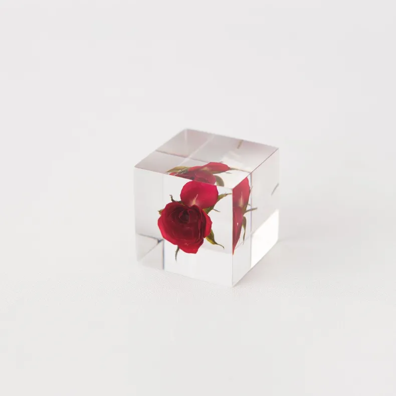 Sola Cube - Rose (Limited Edition)