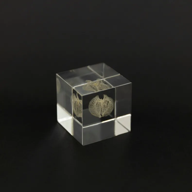 Sola Cube - Apple of Peru