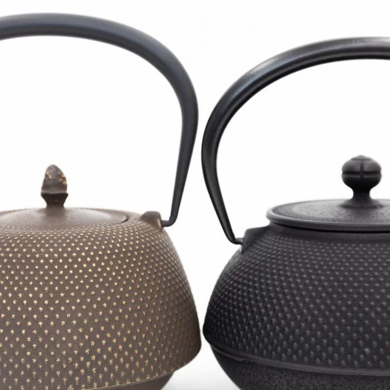 Nambu Tekki Cast Iron Teapot with Strainer - Arare