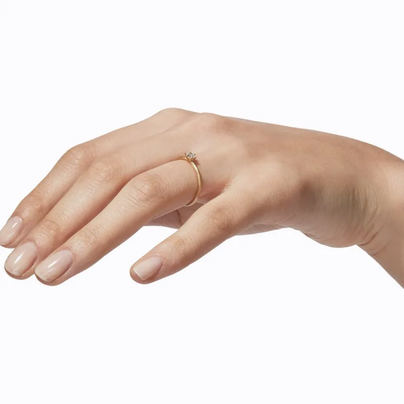 Shihara Classic Ring 02