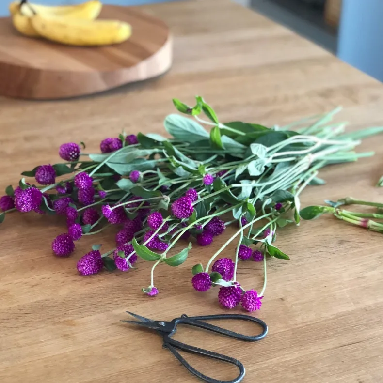 Tajika Flower Scissors