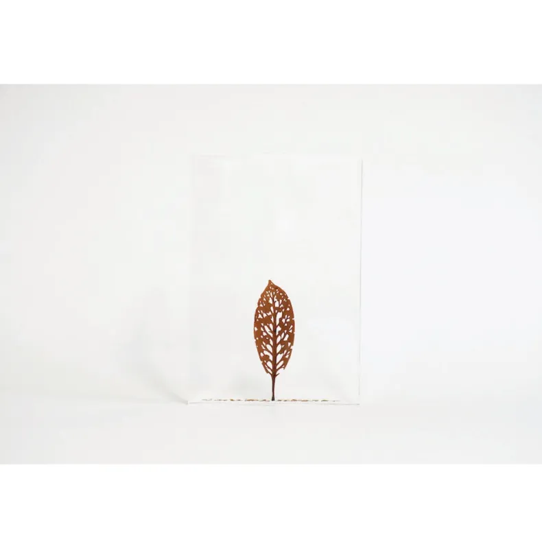 #58 - Fallen Leaves #2 (All Around You, 2024) by Mitsuru Koga