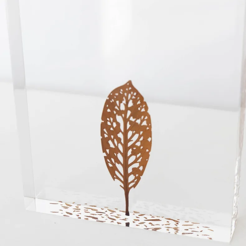 #58 - Fallen Leaves #2 (All Around You, 2024) by Mitsuru Koga