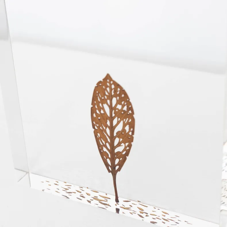 #57 - Fallen Leaves #1 (All Around You, 2024) by Mitsuru Koga