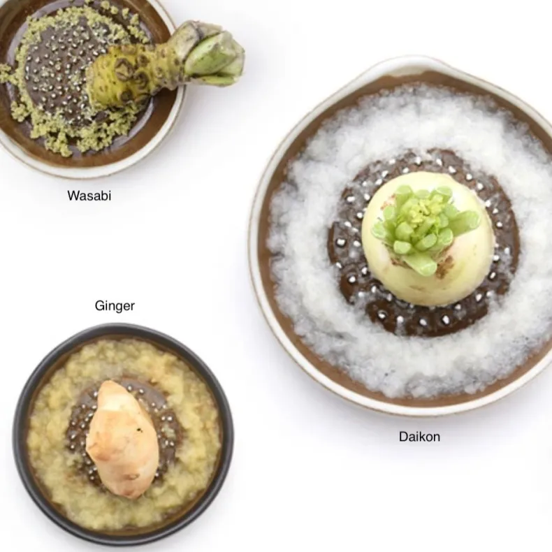 Motoshige Graters - Black